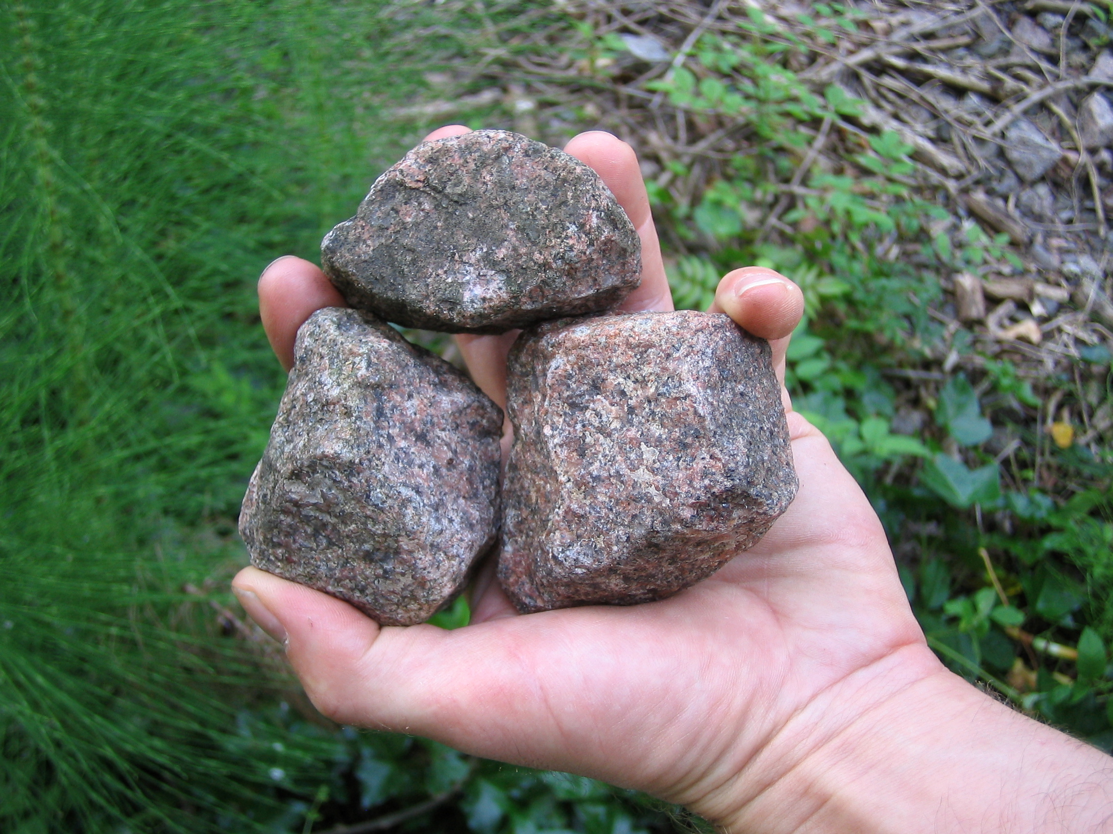 throwing-rocks.jpg