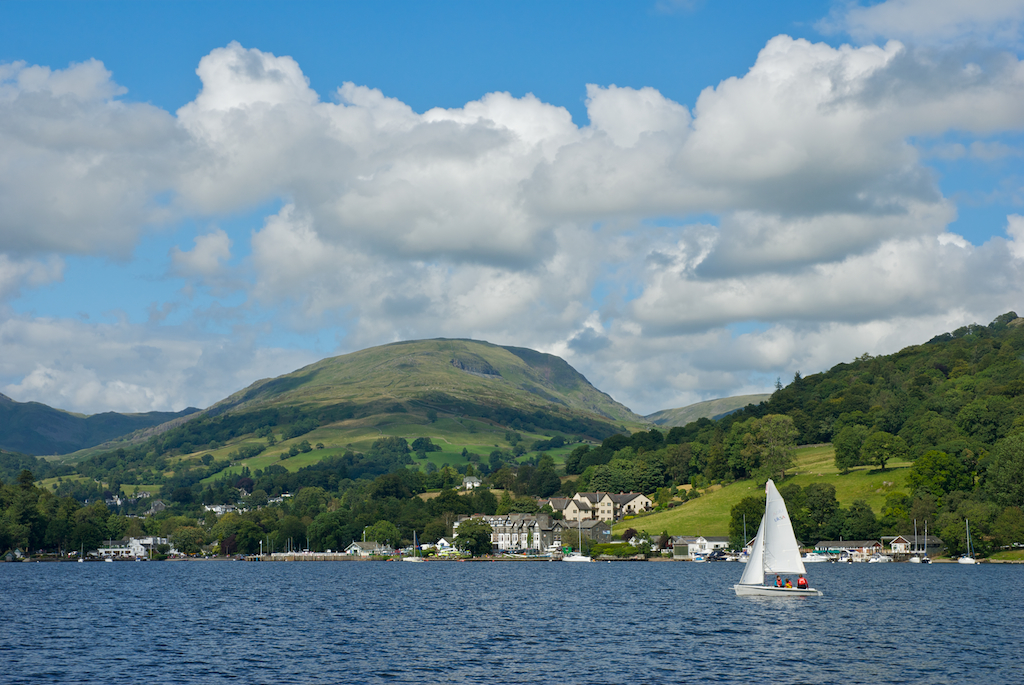 redscrees.jpg