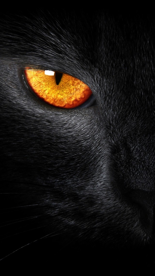 1378223084_black_panther_1.jpg
