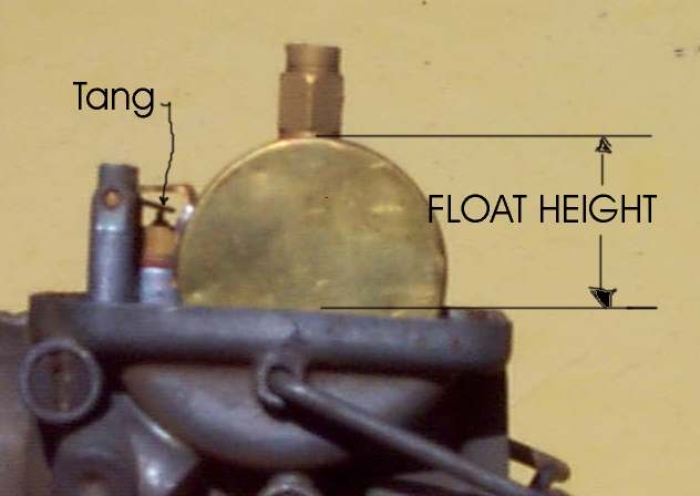 carbs_float.jpg