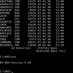 msdos_screenshot.jpg