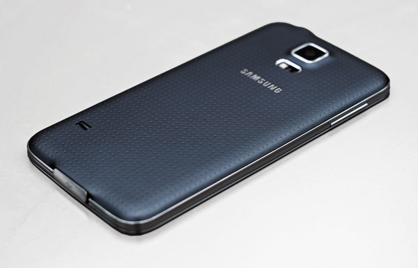 back-s5.jpg