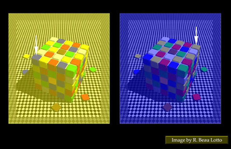 Color_illusion_cubes2_web.jpg