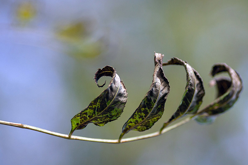 autumn_2012_24.jpg