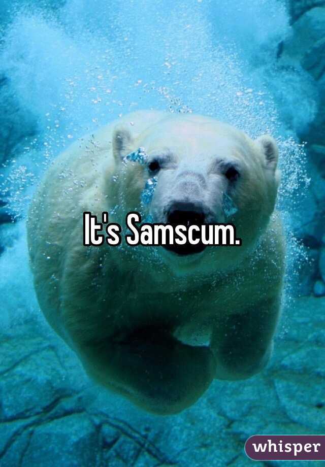 0510fb57a12d56569686022ea0b352ba241c5c-wm.jpg
