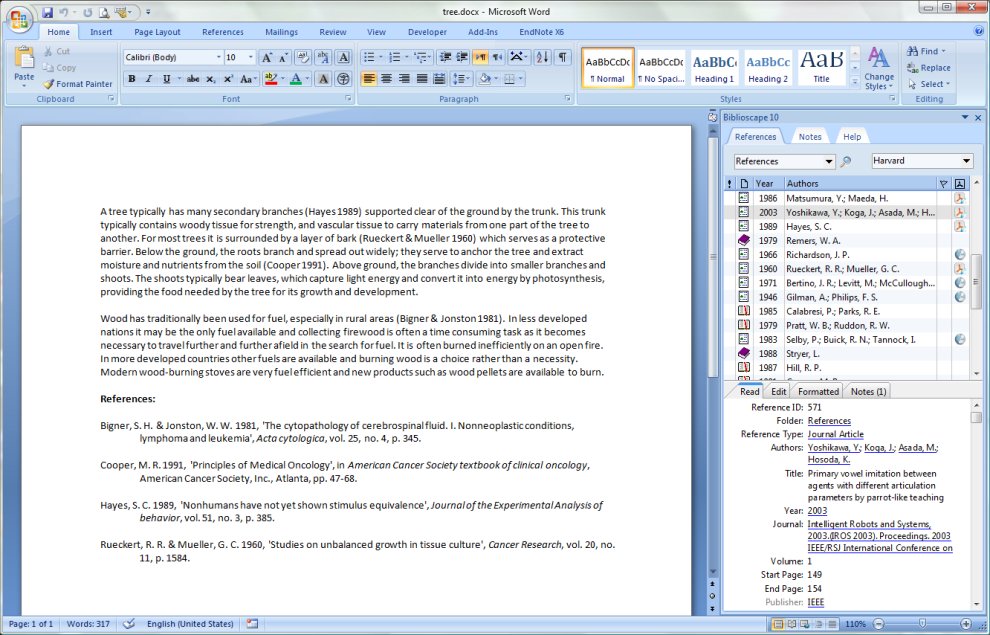 word2007_ref.jpg