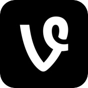 vinecamera.jpg