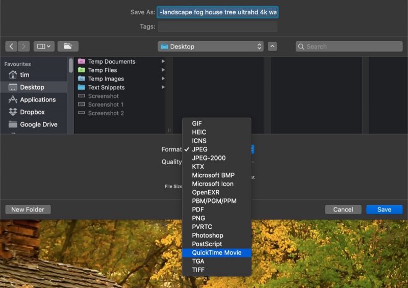 Preview-file-formats-800x565.jpg