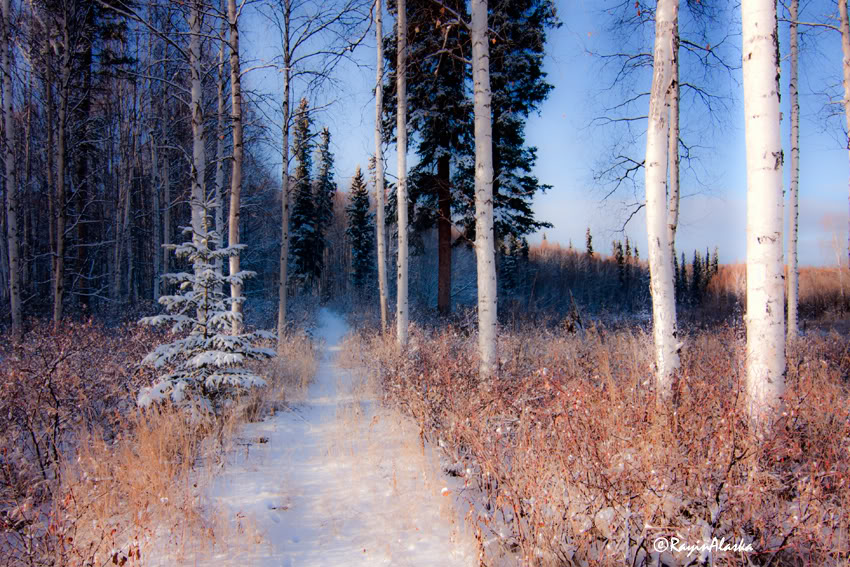 ChenaTrail_4165.jpg