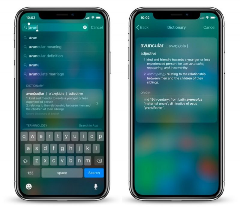 ios-11-dictionary-1-800x699.jpg