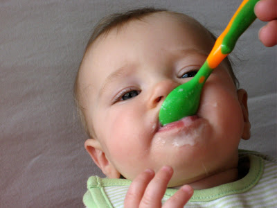 spoonfed.jpg