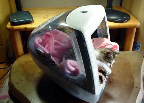 apple-icat.jpg