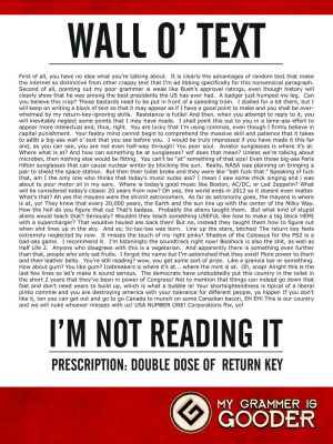 Grammar_Natzee__Wall_O___Text_by_dinyctis.jpg