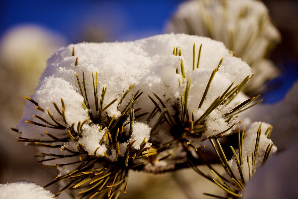 newmacro205120111119101.jpg