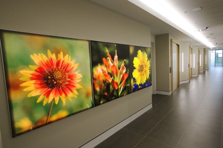 apple_austin_hallway.jpg