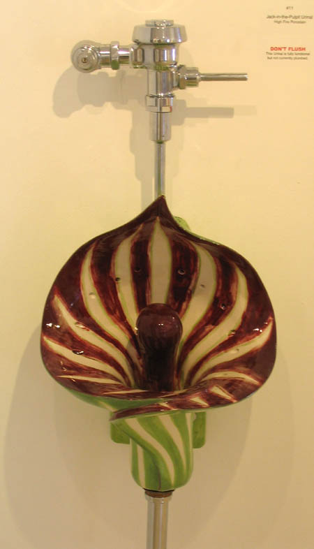 jackinpulpit.jpg