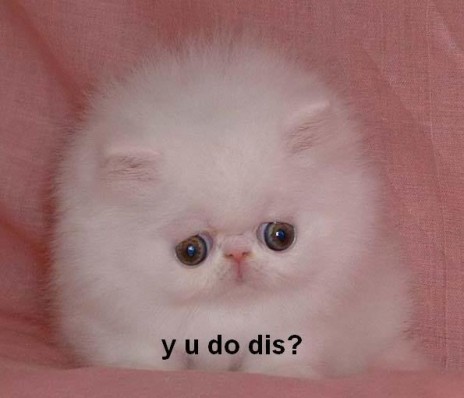 154817_494_sad_kitty.jpg