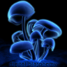 beta.digitalblasphemy.com