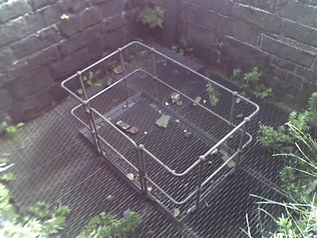24-08-07_1607.jpg
