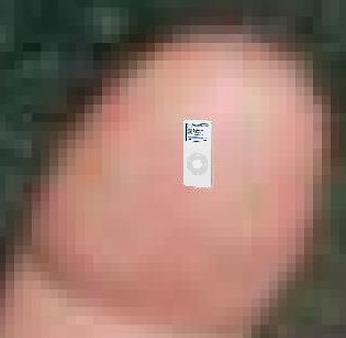 Ipodyocto.JPG