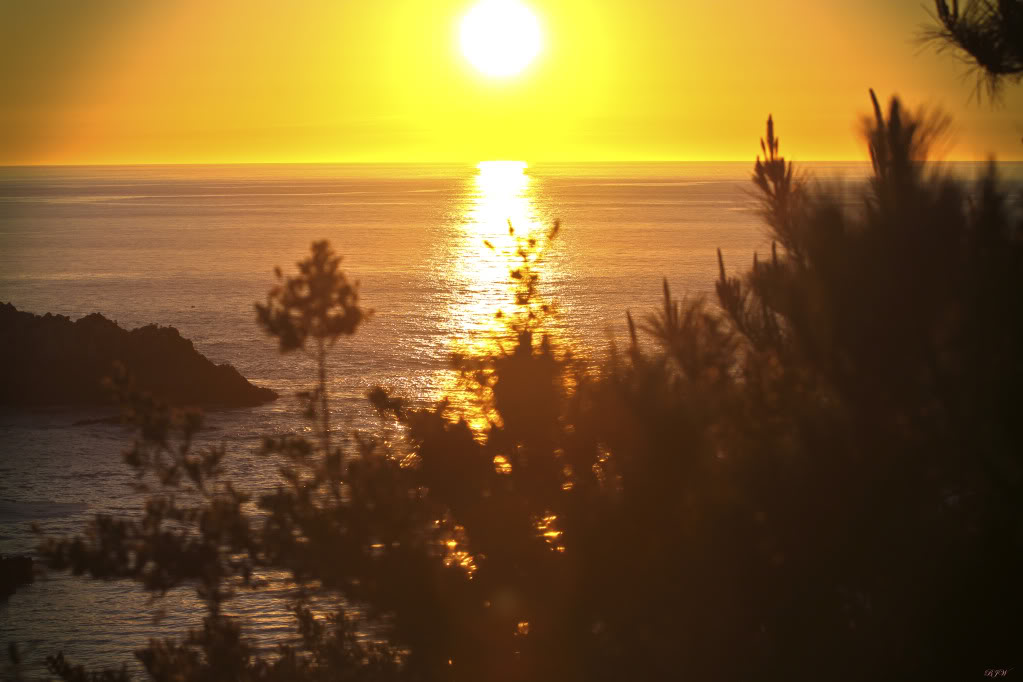 SunsetYellowOrangeMB.jpg