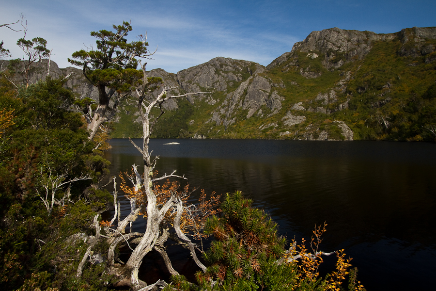 MG_1283.jpg