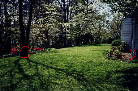 Yard.jpg