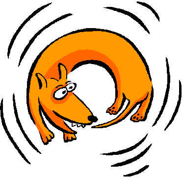 dog%20chasing%20tail.jpg