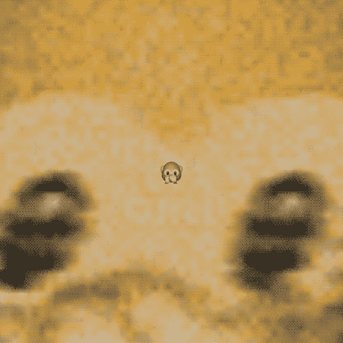giphy.gif