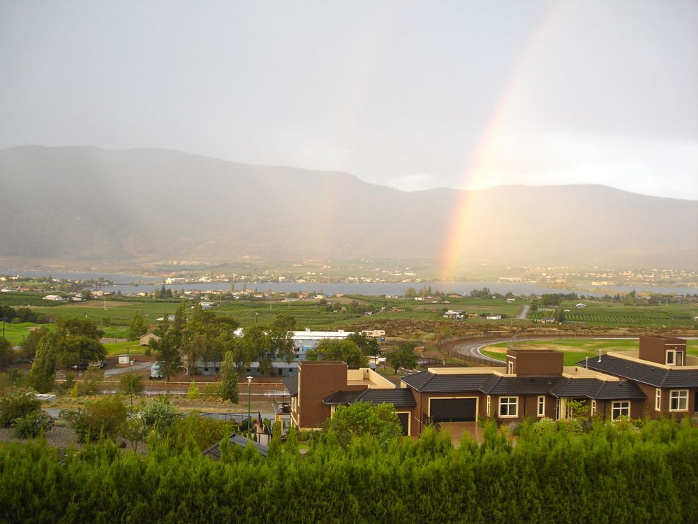 DSC06121-L.jpg