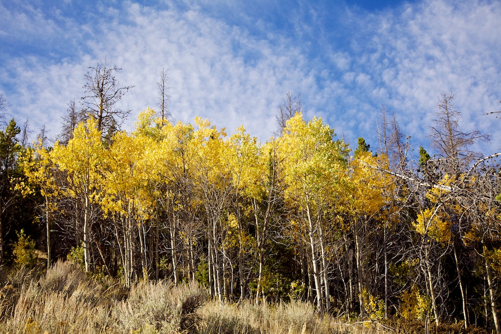 mtautumn183620110927164.jpg
