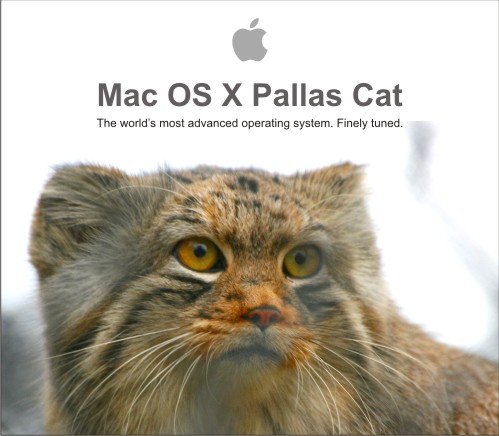mac-os-manul.jpg