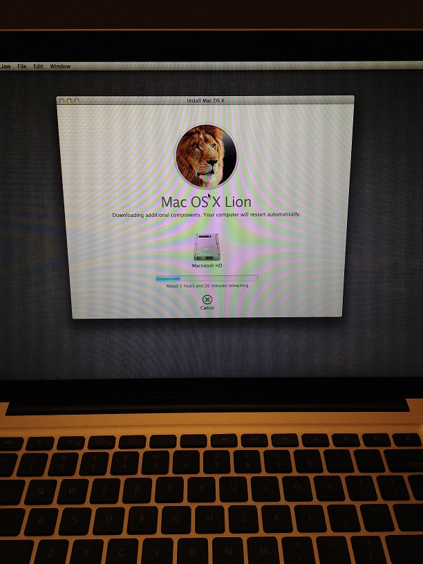 Lion-install.jpg