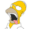 fp__homer_drool.jpg