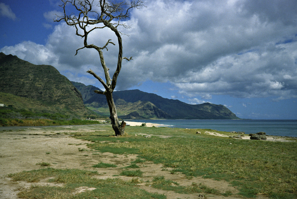 Hawaii-Nov-1989-2-XL.jpg