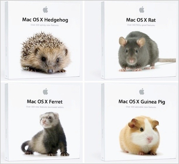 Hamster Ball Mac