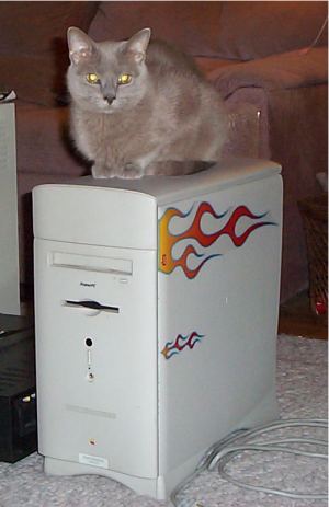 m_6500.jpg