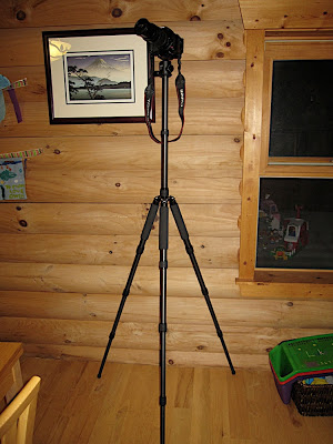 IMG_5587.jpg