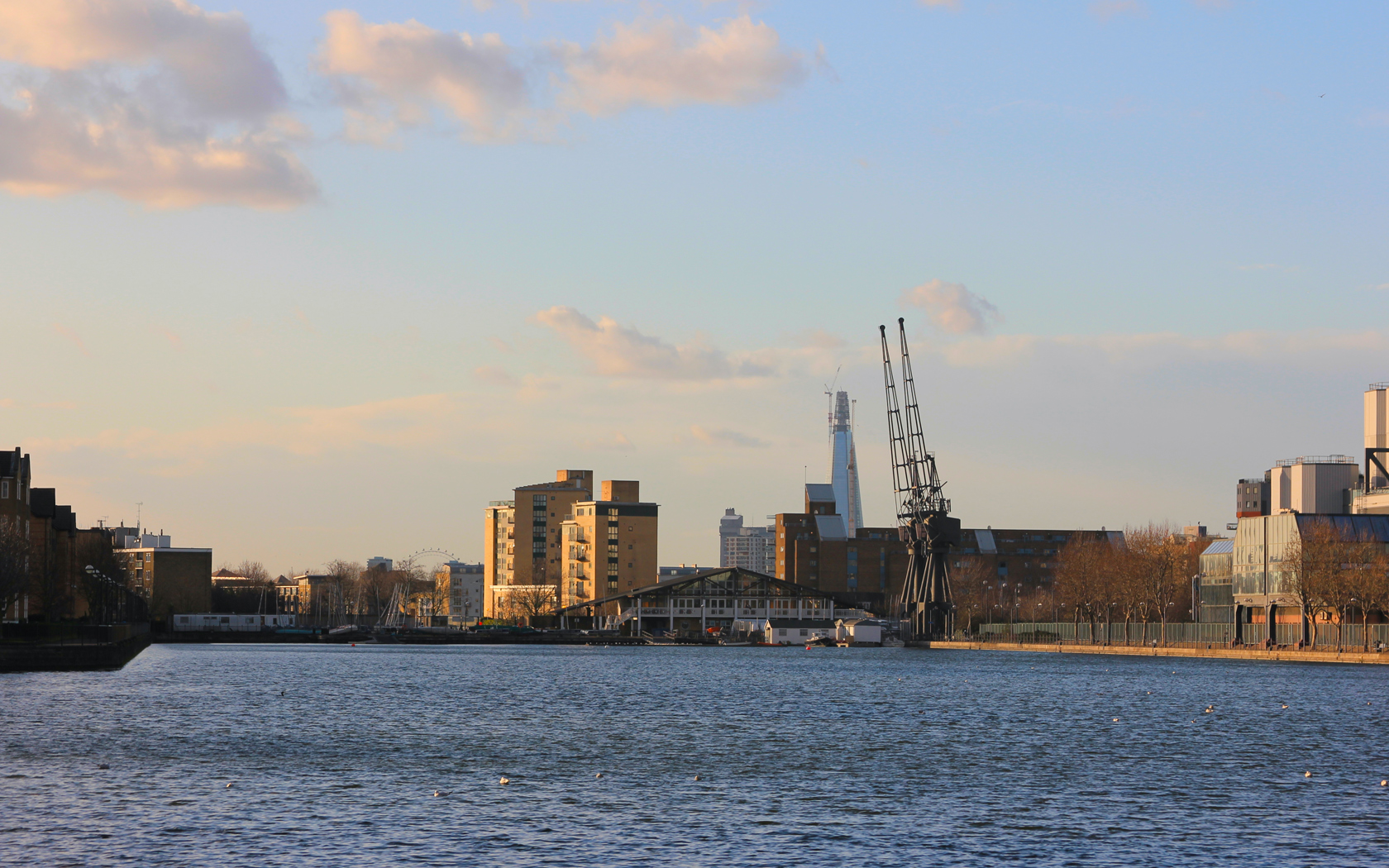 20120127a.jpg