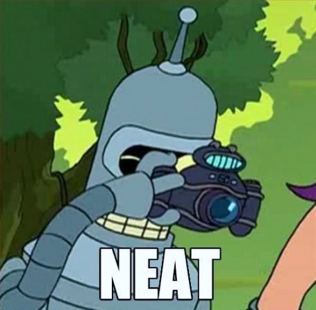 meh.ro5401-455x446.jpg