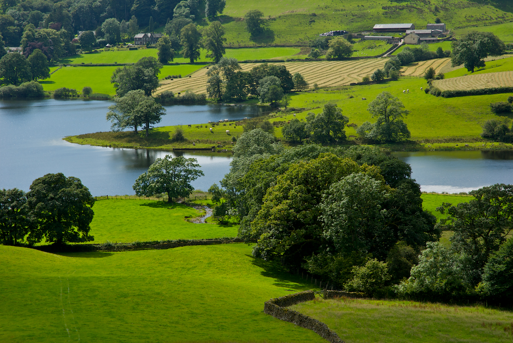 esthwaite1.jpg