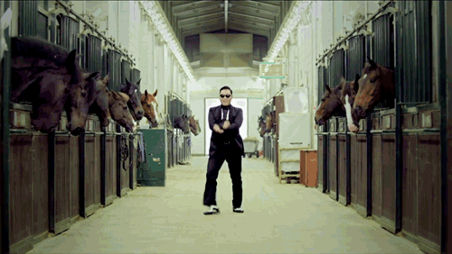 tumblr_maoyf4SBQj1ry10fwo1_500.gif