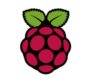 Raspi-PGB001-300x267.png