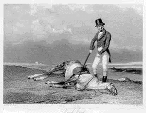 Beating_a_dead_horse.gif