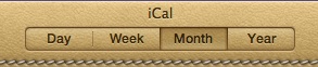 163551-lion_ical_button_style_selector.jpg