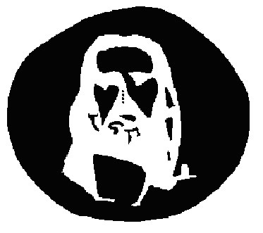 jesus-optical-illusion.jpg