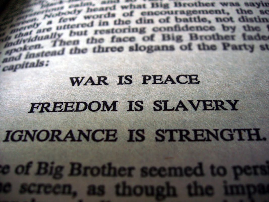 www.technocracy.news