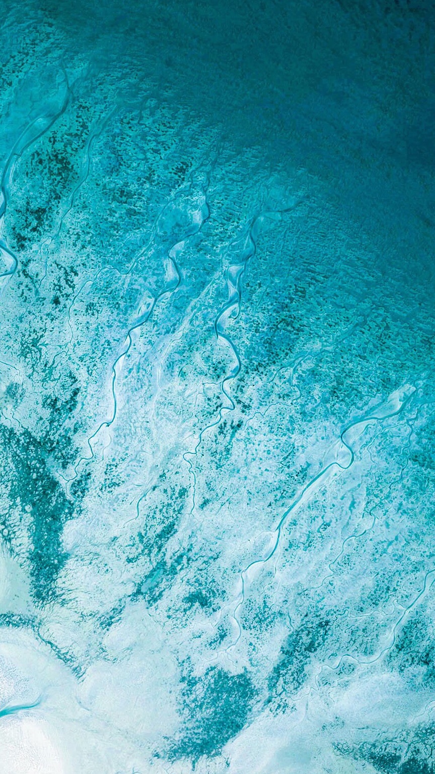 d6679ad33156e2dffcc2adcd9f47446a.png