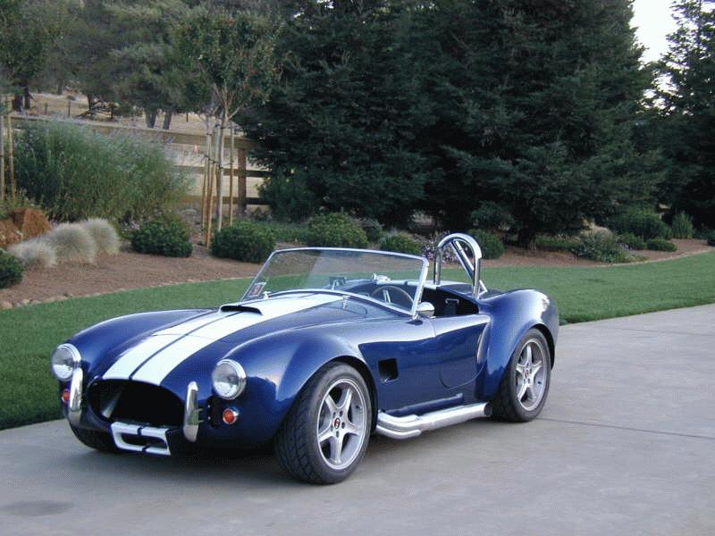 66ac-cobra3.JPG