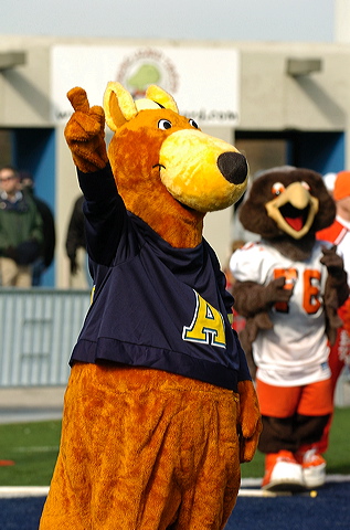 pic-zippy110406.jpg